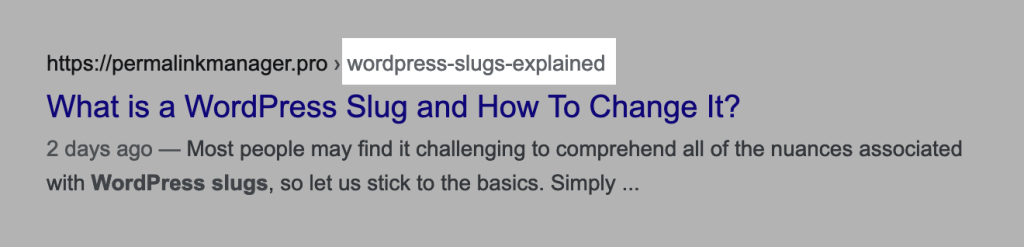 Slug displayed in SERP (Google Search Results)