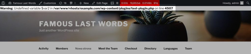 Sample warning displayed in WordPress debug mode