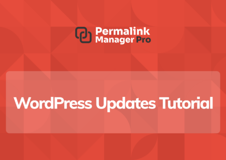 Why You Should Update WordPress Plugins and Themes?