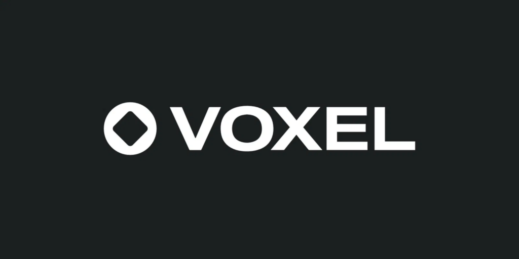 Voxel logo