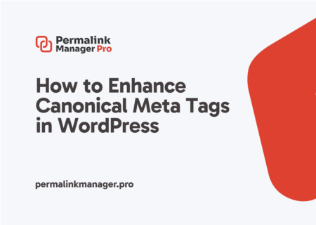 How to Set Custom Canonical Tags in WordPress Without a Plugin?