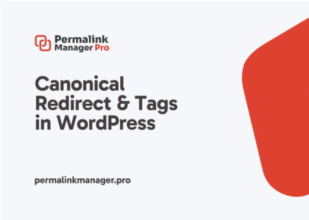 WordPress Canonical Redirect: How It Works, How to Disable It
